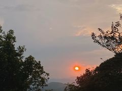 -黄埔油麻山森林公园