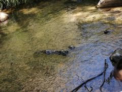 -碓臼峪自然风景区