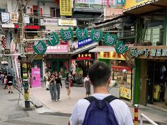 -猫咪博物馆(顶澳仔猫街店)