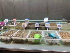 -盒马鲜生(财富中心店)