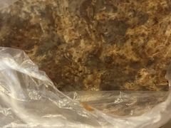 -小闺女儿肉龙(西湖道店)