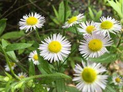 -艾溪湖湿地公园