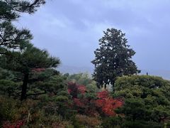 -常寂光寺