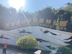 -西双版纳原始森林公园