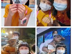 -侏罗纪世界电影特展(广州站)