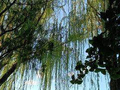 -莲池书院博物馆