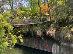 -千岛湖东南湖区
