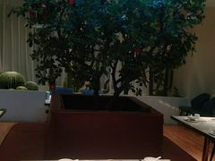 -悦海·家宴·冰花皮皮虾大锅贴(宝龙店)
