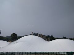 -上海月湖雕塑公园