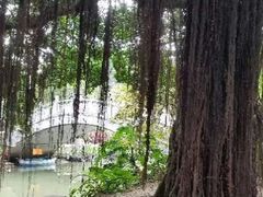 -小洲村