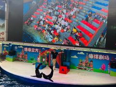 -成都浩海立方海洋公园