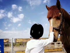 -月河湾马术俱乐部(朝阳店)