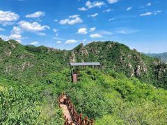 -大岭沟猕猴桃谷风景区
