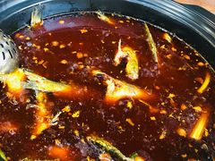 -金海椒罐罐鲢鱼(东方桂苑店)