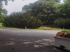 -棒棰岛宾馆景区