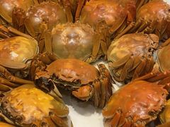 -高老庄新家宴(北斗星广场店)