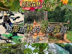 -西双版纳原始森林公园