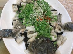-玛宝鲜海鲜酒家