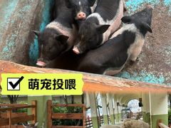 -华谊兄弟（长沙）电影小镇