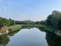 -大兴滨河森林公园