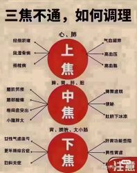 点击看大图 -玛莲朵·海菲秀冰珀科