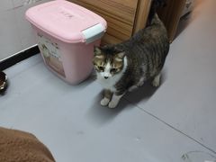 -御宝贝·A梦猫科宠物医院(国际猫友好医院)