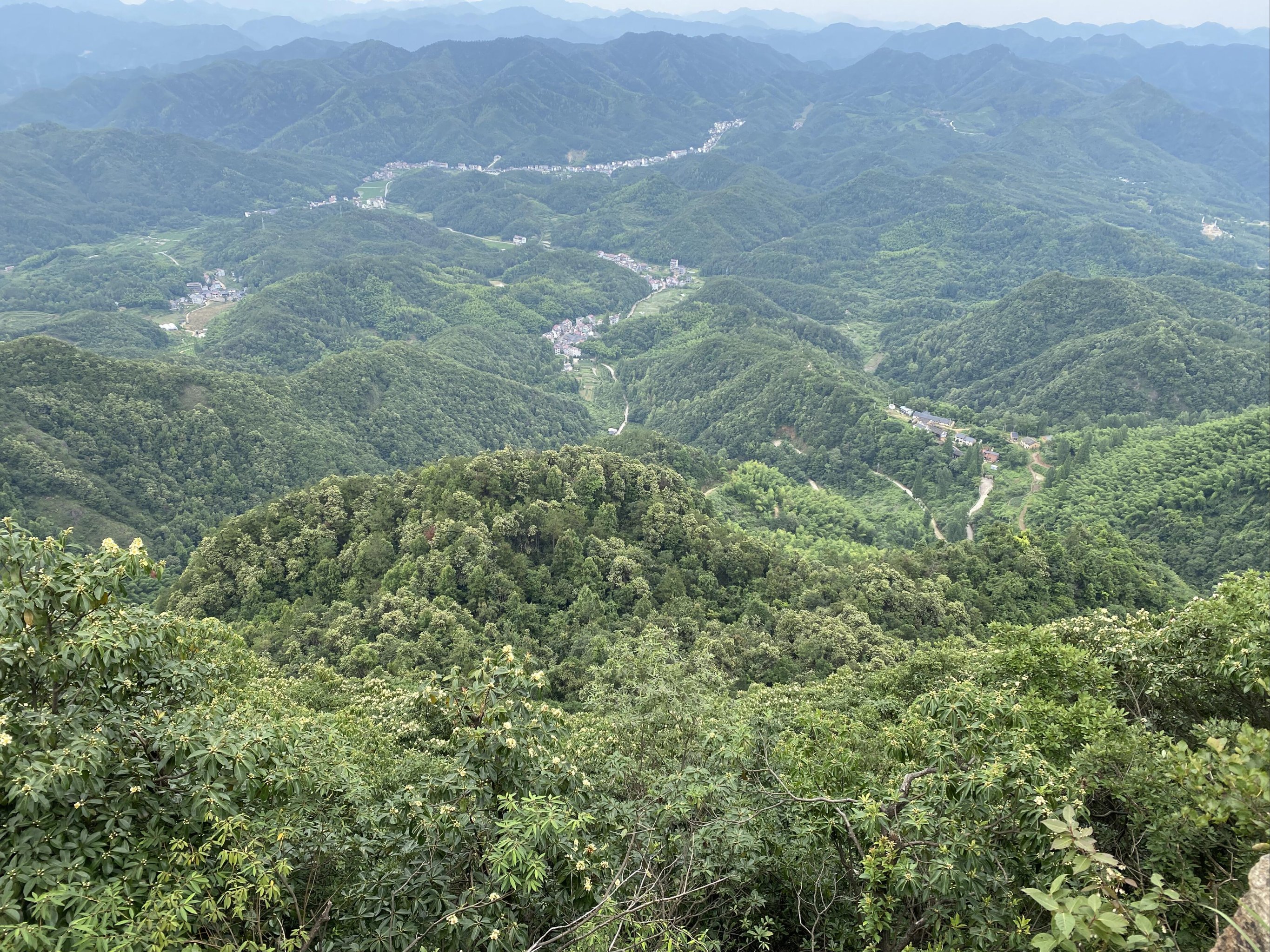 五指岩风景区图片