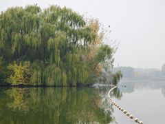 -大兴滨河森林公园