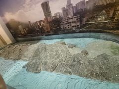 -白鹤梁水下博物馆