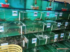 -琼大师东方烤乳猪(亚特兰蒂斯店)