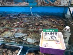 -港畔赶海蒸汽海鲜烧烤自助(仙螺岛店)