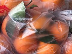 -回头客精品果业(西门店)