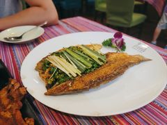 -香巴拉云南餐厅(华莱坞店)