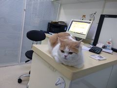 -全心全意连锁动物医院(加州店)