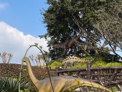 -自贡恐龙博物馆