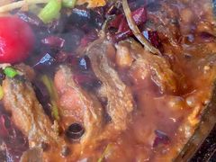 -老板恋上鱼(恒隆广场店)