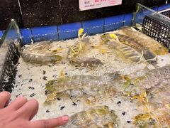 -小榄人家酒楼(民安店)