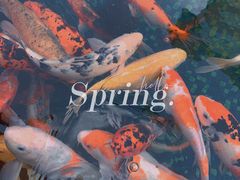 -云漫湖生态度假公园