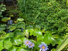 -国家植物园南园