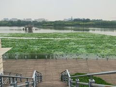 -大兴滨河森林公园