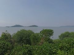 -上海市保健医疗中心(华东疗养院)