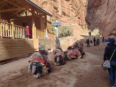 -天山神秘大峡谷