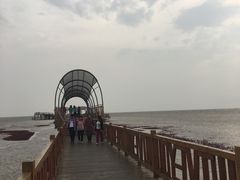 -红海滩国家风景廊道