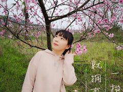 -南京市江宁方山