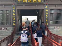 -赵州桥景区