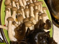 -素渡·一茶一素素食馆(新疆店)