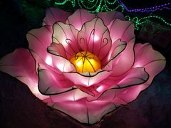 -长春公园(普阳街道)