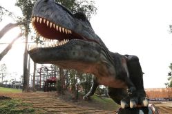 -恐龙探索乐园(磁器口店)