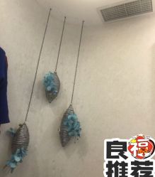 -健身堂科技美肌SPA