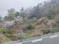 -溪口-滕头旅游景区